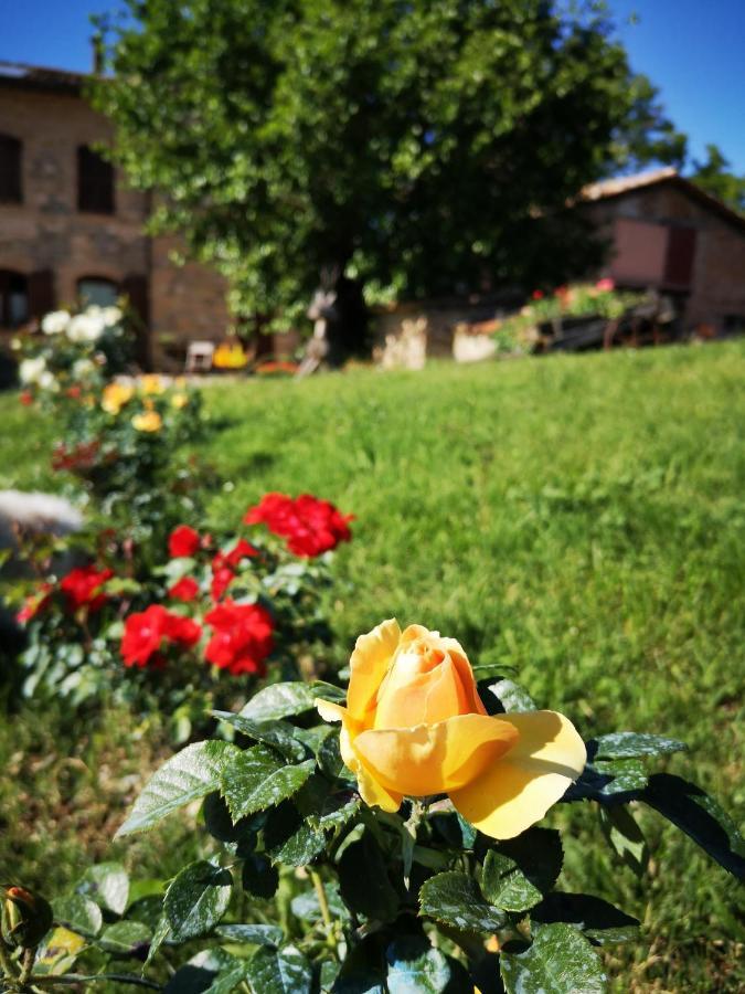 Da Foschetta Villa Matelica Exteriör bild