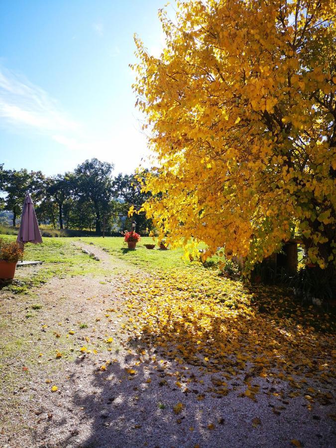 Da Foschetta Villa Matelica Exteriör bild